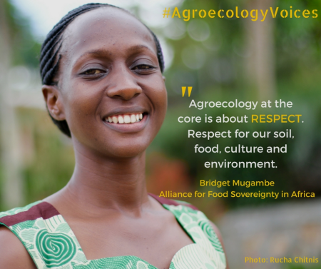 Agroecology at the
core is about RESPECT. Respect for our soil, food, culture and
environment.
- Bridget Mugambe
Alliance for Food Sovereignty in Africa