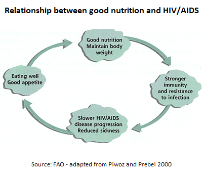 Flowchart: Relationship between good nutrition and HIV/AIDS