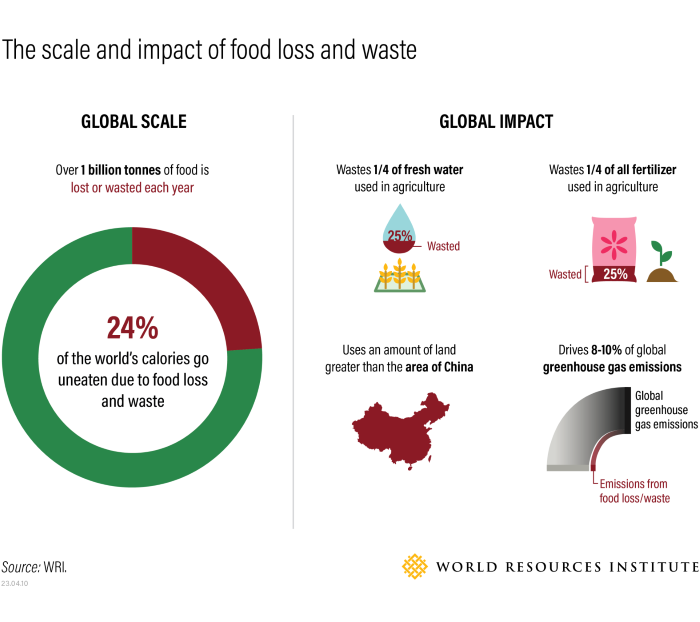 Infographic: The global scale and global impact of food loss and waste - World Resources Institute