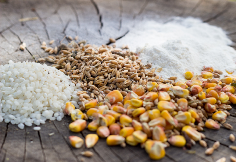 Food Fortification – Big Power in Small Nutrients