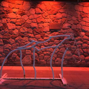 Whitehorse, YT City Hall lit up in orange