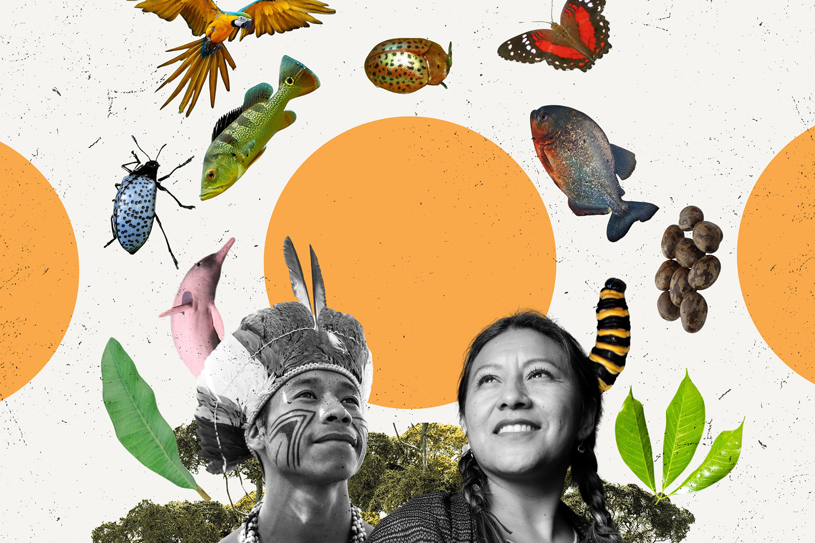 Advancing Climate Resilience: Nature-based Solutions, Partnerships, and Indigenous Knowledge