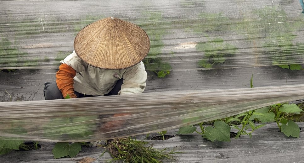 2026 Global Nutrition Report: Integrating food and health systems for climate-resilient nutrition (Recording)